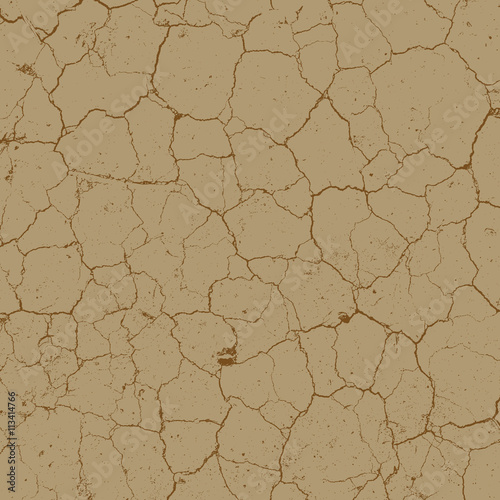 Cracked Earth Texture