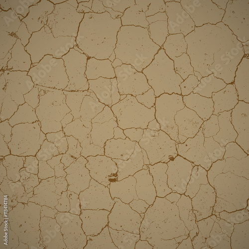 Cracked Earth Texture