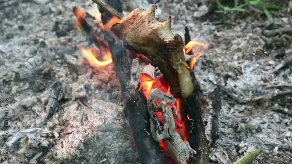Bonfire burns in the summer forest Bonfire burns in the summer forest