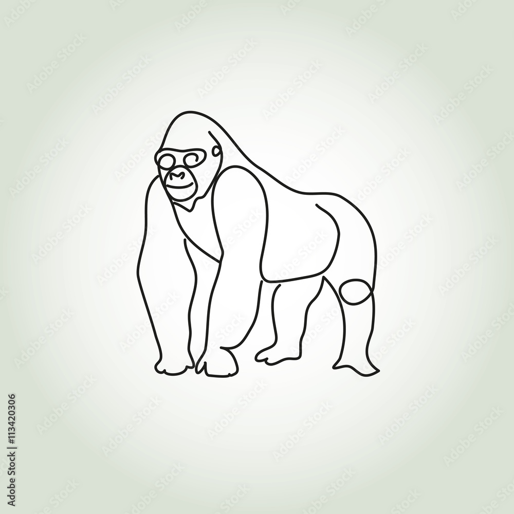 Obraz premium Gorilla in minimal line style vector
