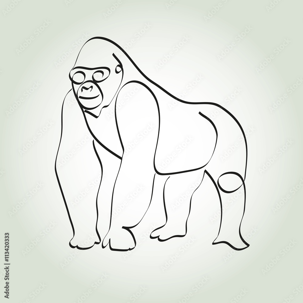 Obraz premium Gorilla in minimal line style vector