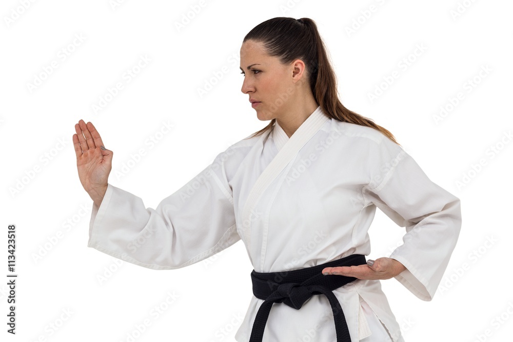 Female fighter performing karate stance Female fighter performing karate stance