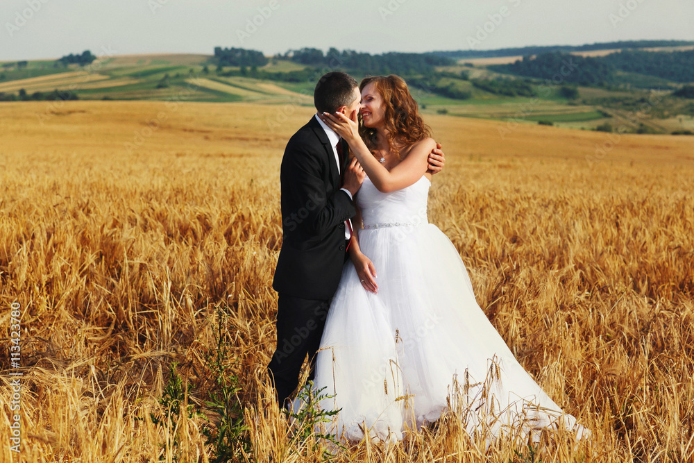 Bride and groom looks happy standing on the golden field