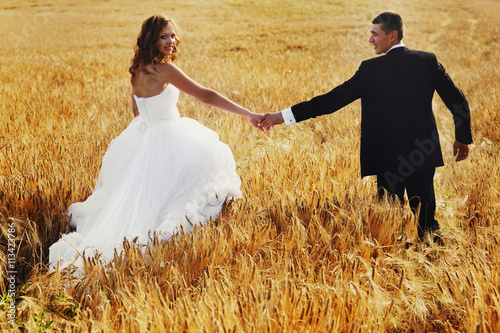 Newlyweds croos a golden field of wheat holding their hands toge