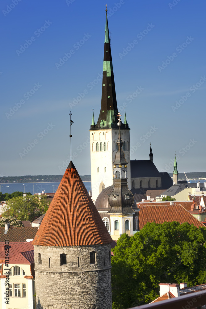 View of Old city's roofs. Tallinn. Estonia. View of Old city's roofs. Tallinn. Estonia.
