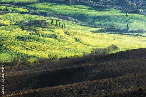Brown soil and green fields of Tuscany. © Jarek Pawlak