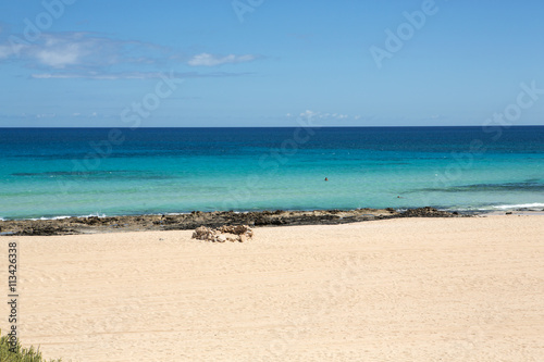 Corralejo Beach on Fuerteventura, Canary Islands © wjarek