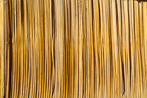 Fototapeta Naklejka Na Ścianę i Meble -  in oman abstract  texture of a bamboo wall background