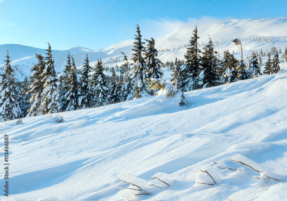 Obraz premium Morning winter mountain landscape (Carpathian).