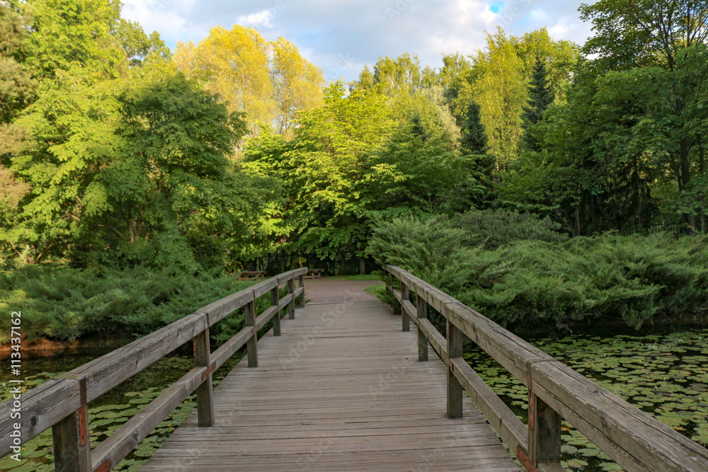 Obraz premium Japoński krajobraz, rzeka, most. Lato
