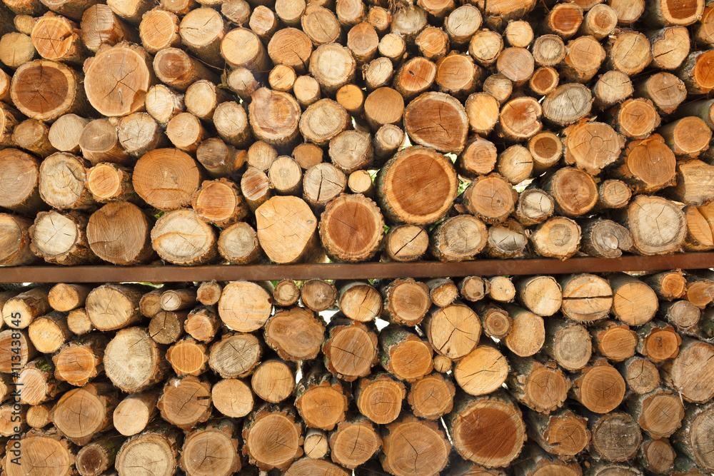 Pile of wood logs storage for industry Pile of wood logs storage for industry