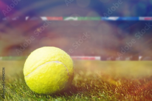 Close up of tennis ball on the grass © vectorfusionart