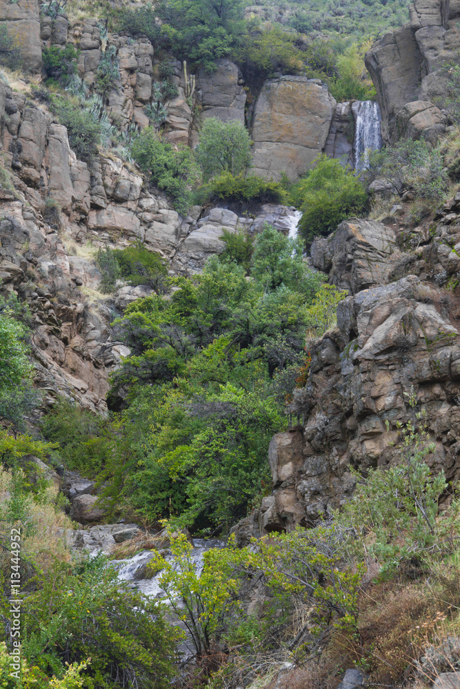 Trail in the  Mountain