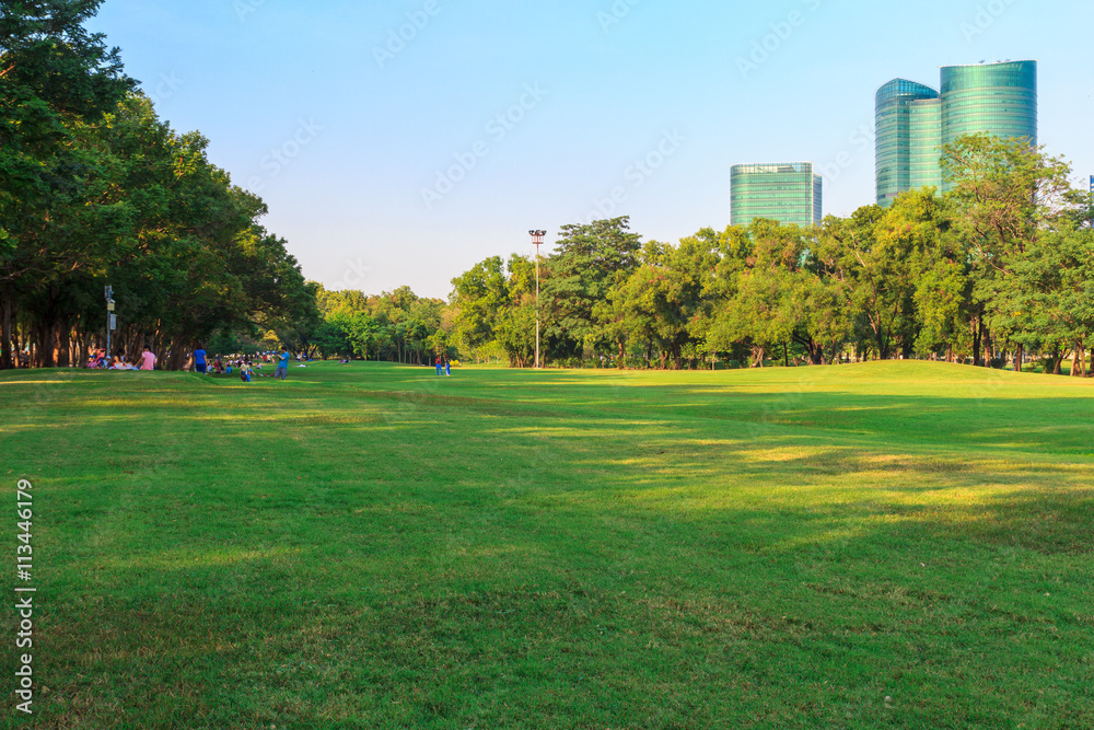Park in city