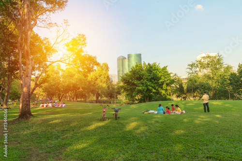 Park in city