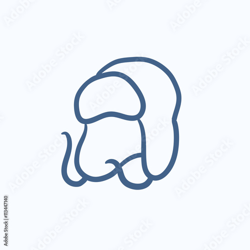 Warm fur cap sketch icon.