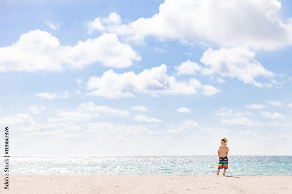 Adorable kid boy standing on the sandy beach by the ocean and looking on the gorgeous summer view. Miami summer vacations. Blue sky with clouds as a background. Child on amazing beach. Adorable kid boy standing on the sandy beach by the ocean and looking on the gorgeous summer view. Miami summer vacations. Blue sky with clouds as a background. Child on amazing beach.
