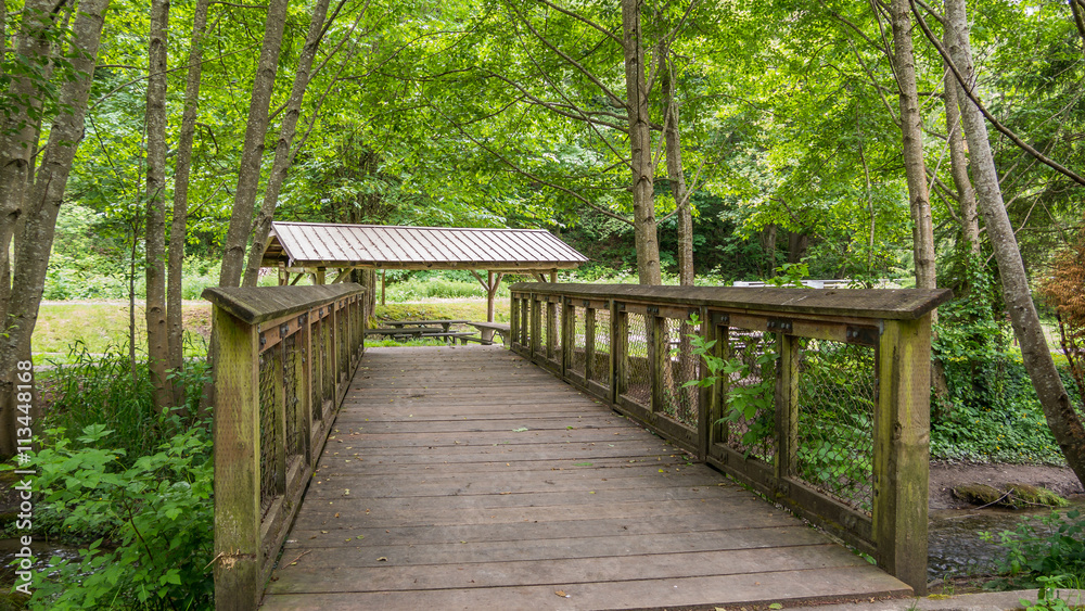 Fototapeta premium Wooden bridge in the forest