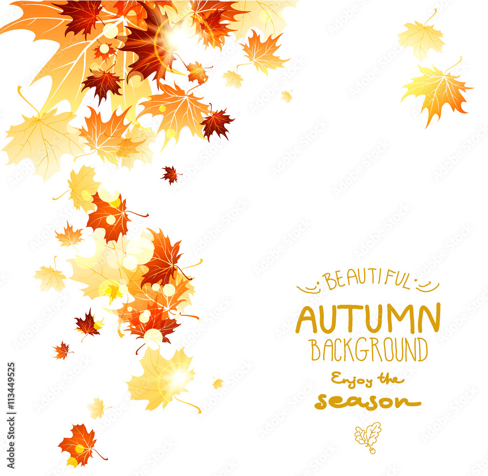 Background with maple autumn leaves Background with maple autumn leaves