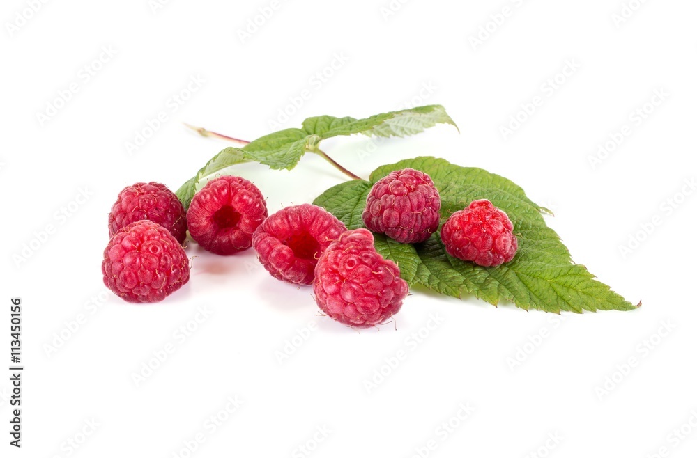 Garden berry raspberry Garden berry raspberry