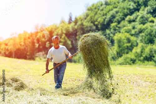 Valokuvatapetti Farmer with a pitchfork collecting hay