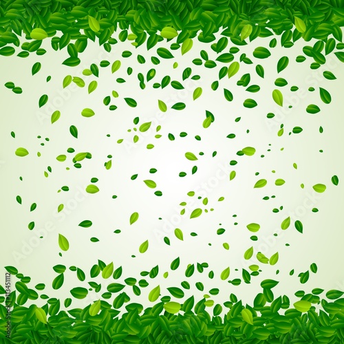 Backdrop with green leaves