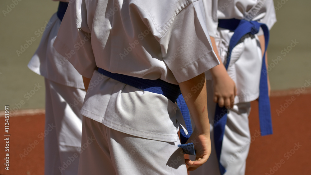 The members of the sports club of martial arts with colorful belts on demonstration performances