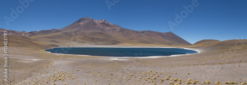 Laguna altiplanica reserva San Pedro de Atacama Chile , Désert d'Atacama  photo