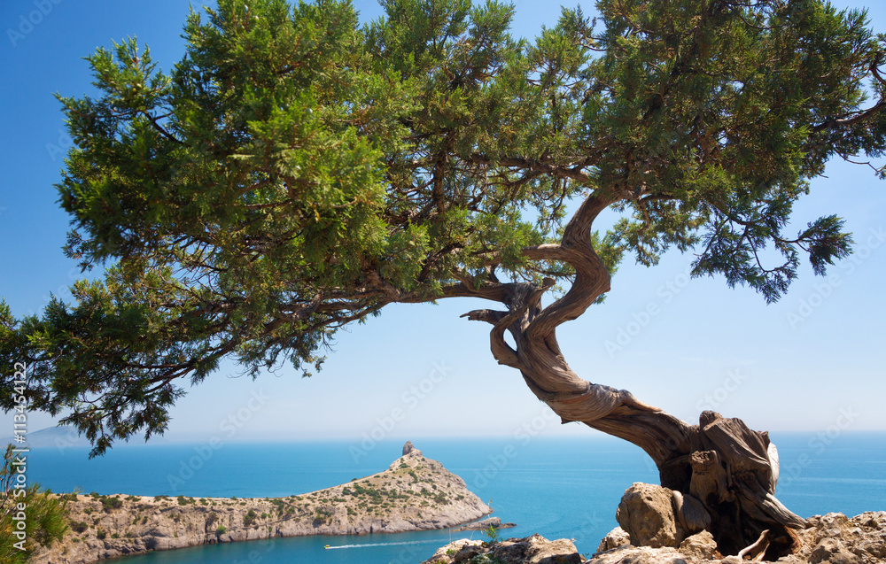 Beautiful summer landscape with the sea and rocks, Crimea