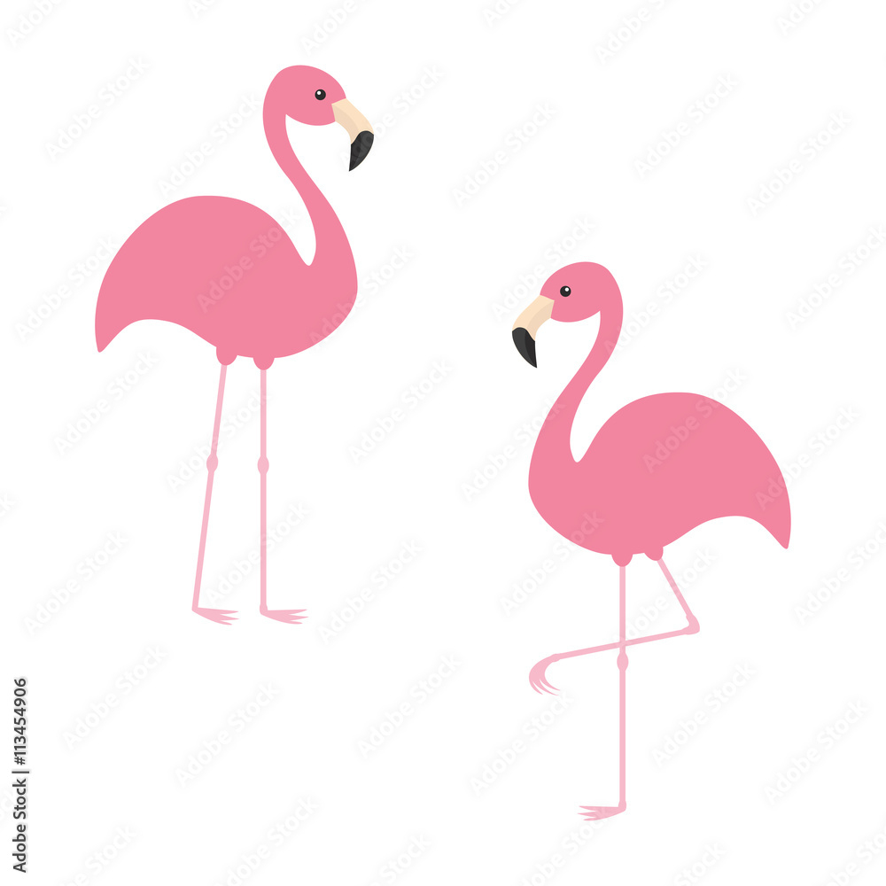 Obraz premium Dwa różowy zestaw flamingo. Egzotyczny tropikalny ptak. Kolekcja zwierząt w zoo. Śliczna postać z kreskówki. Element dekoracji. Płaska konstrukcja. Białe tło. Odosobniony.