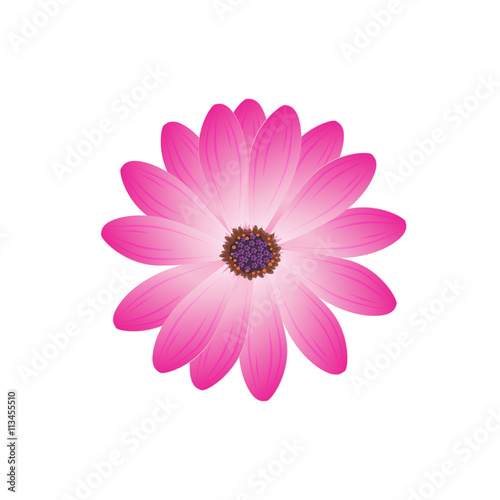 Beauty Flower Design Flat Isolated