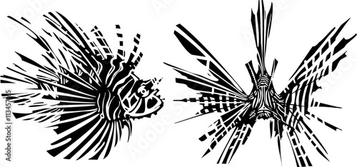 Two sides of a LionFish photo