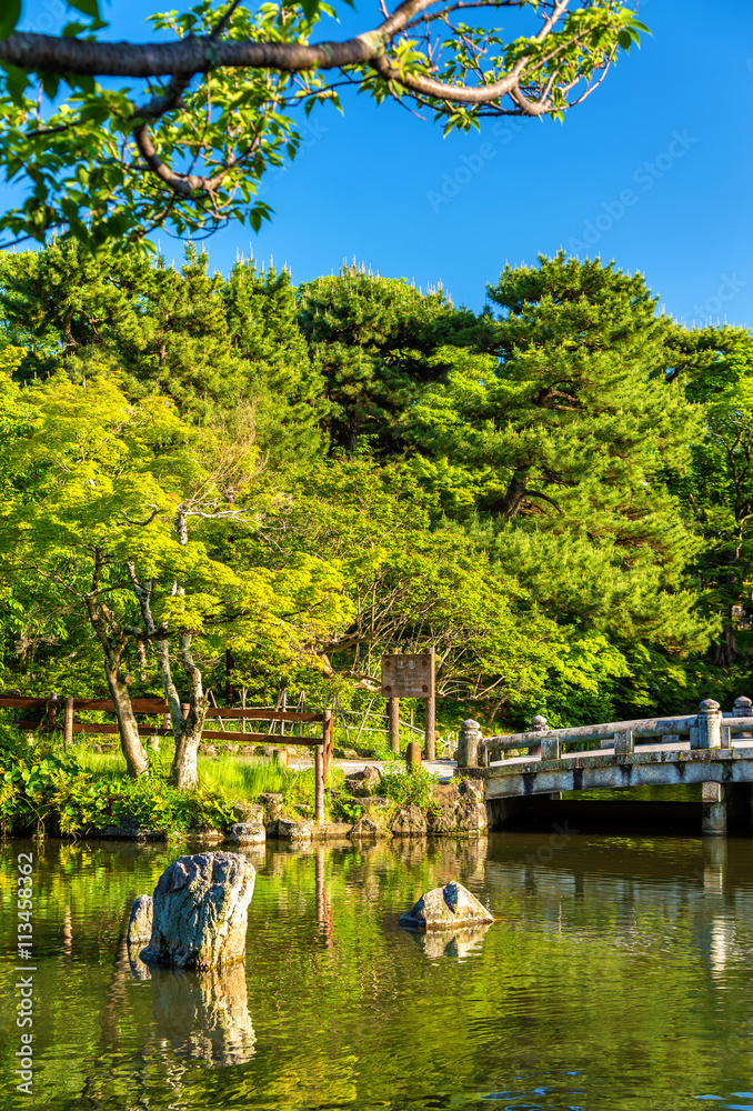 Naklejka premium Maruyama Park in Kyoto, Japan