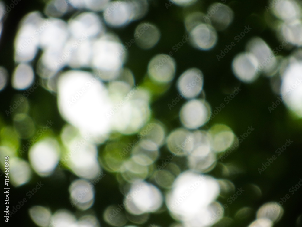 Obraz premium natural green background