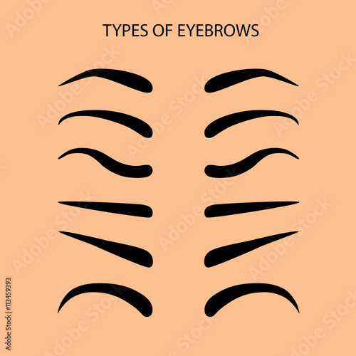 Basic Set eyebrow shapes Vector illustration eyebrows