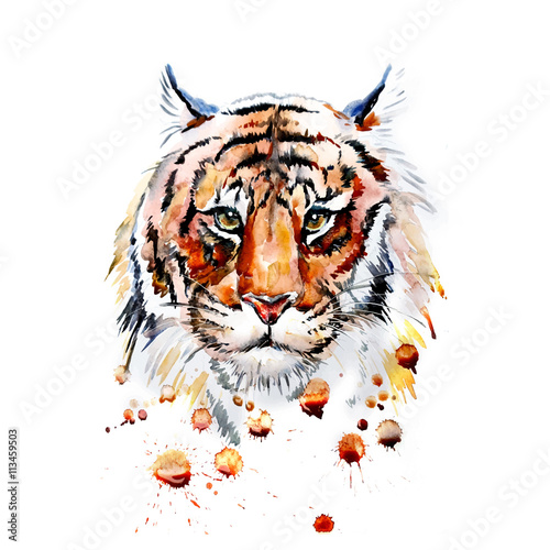 Adult tiger graphic, icon, vector watercolor illustration