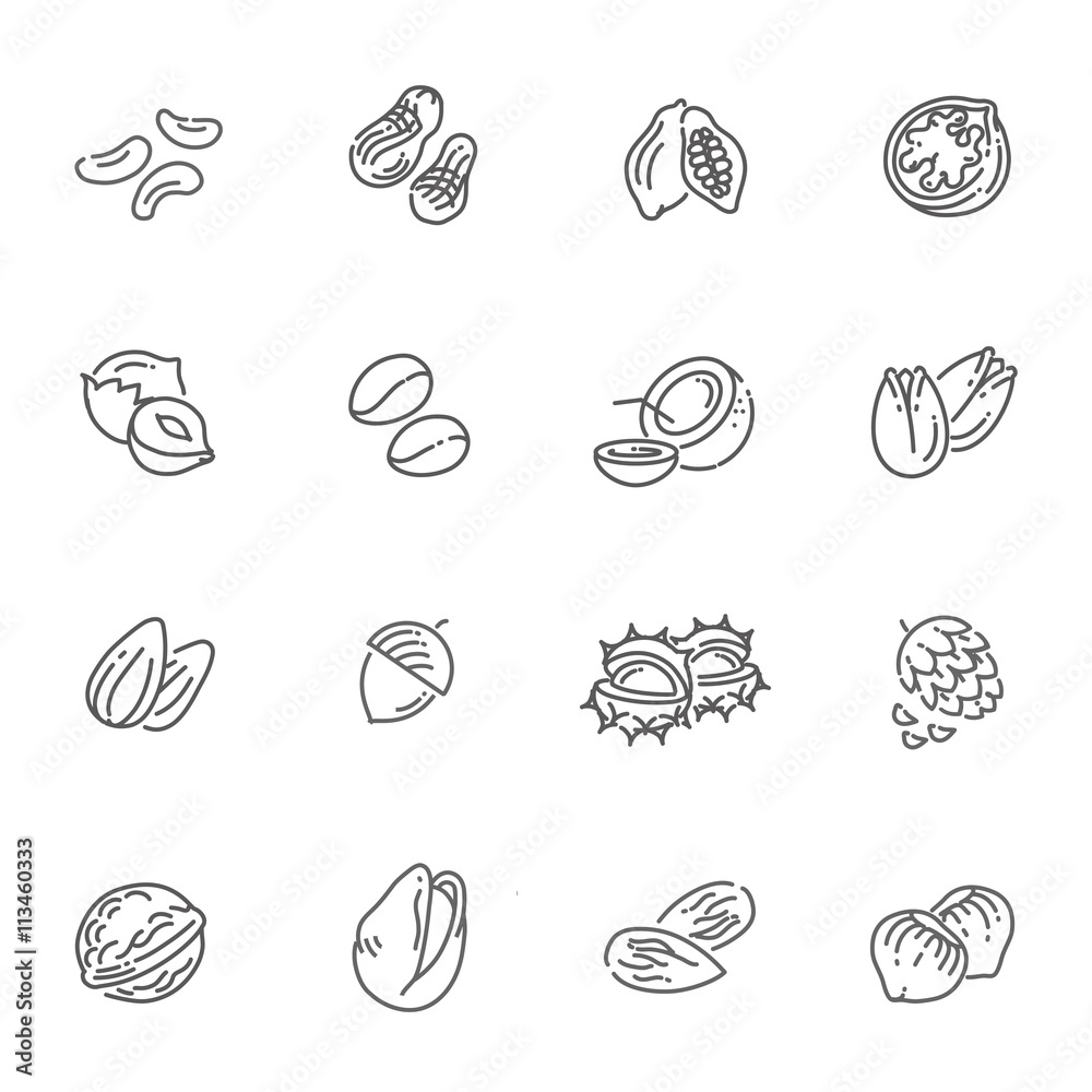 web icons collection - nuts, beans and seed web icons collection - nuts, beans and seed