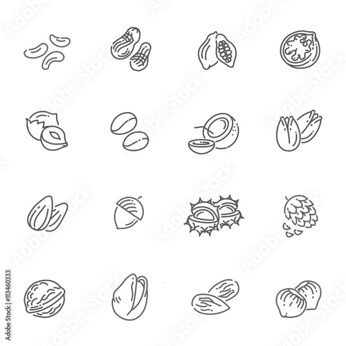 web icons collection - nuts, beans and seed