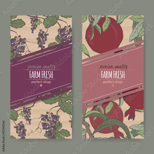 Two labels with grape and pomegranate color sketch on cardboard