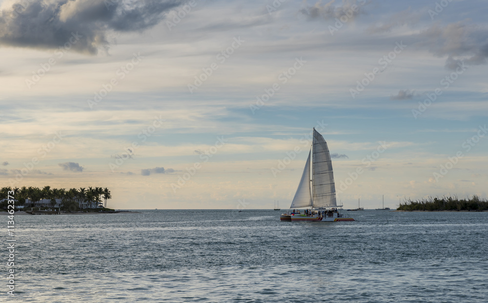 A catamaran in the middle of the ocean on a summers day A catamaran in the middle of the ocean on a summers day