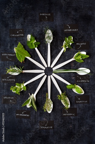 orologio della salute: le erbe aromatiche