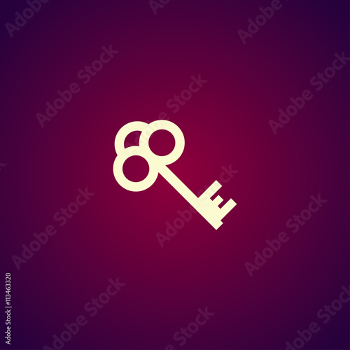 Key vector icon