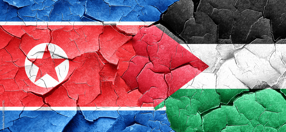 North Korea flag with Palestine flag on a grunge cracked wall North Korea flag with Palestine flag on a grunge cracked wall