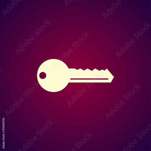 Key vector icon