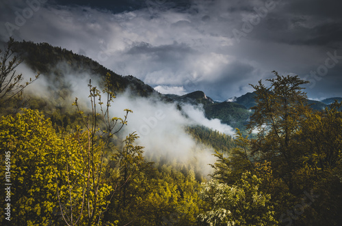 Mountains and clouds in the rainforest. Dramatic clouds with mountain and tree in the morning shot.