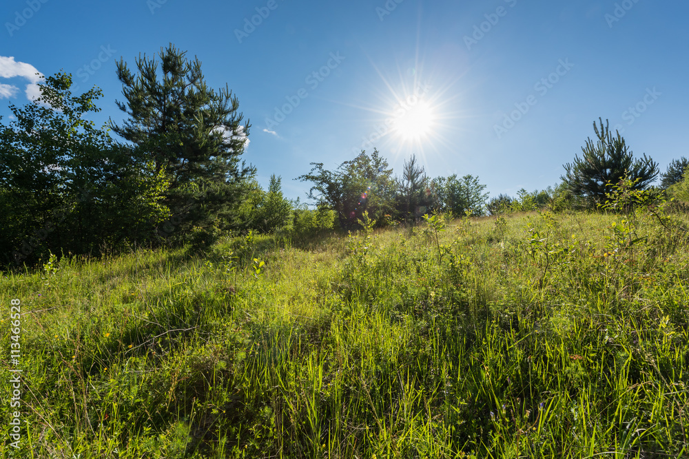 Fototapeta premium Sun is shining over a green alpine meadow