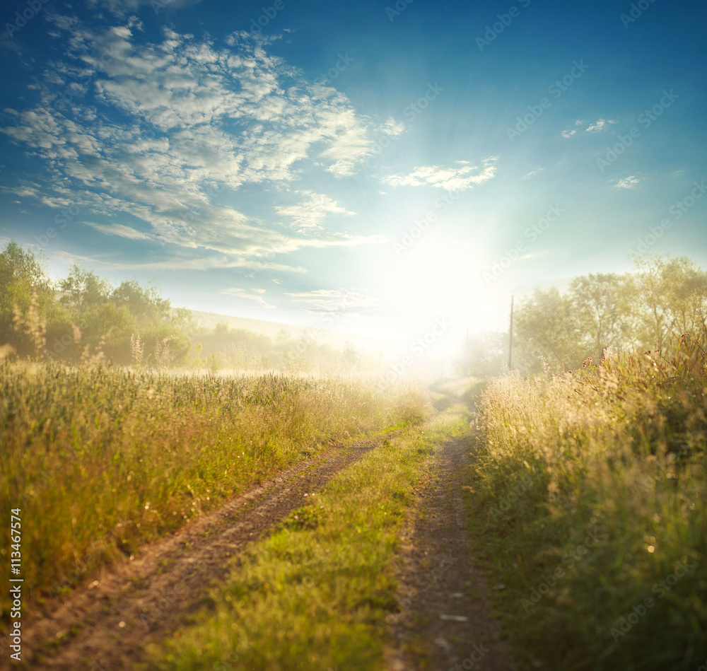 Naklejka premium Country road among fields at sunrise on background sky
