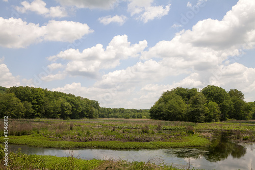 Waterloo Lake