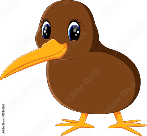Illustration of a close up kiwi bird