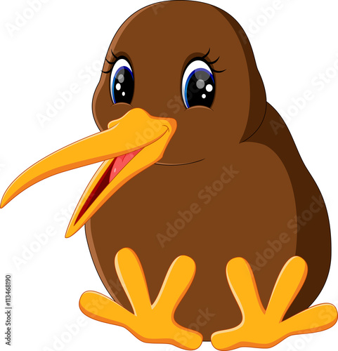 Illustration of a close up kiwi bird